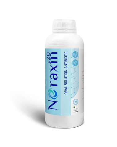 Noraxin 20