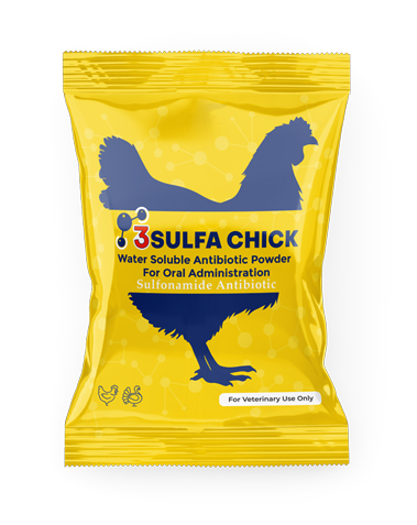 3Sulfa Chick